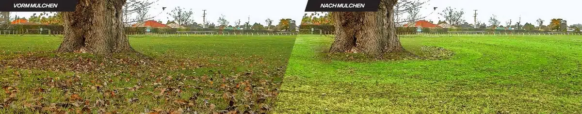 Mulch Kit Before and After