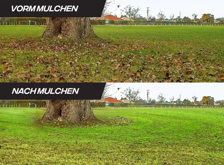 Mulch Kit Before and After